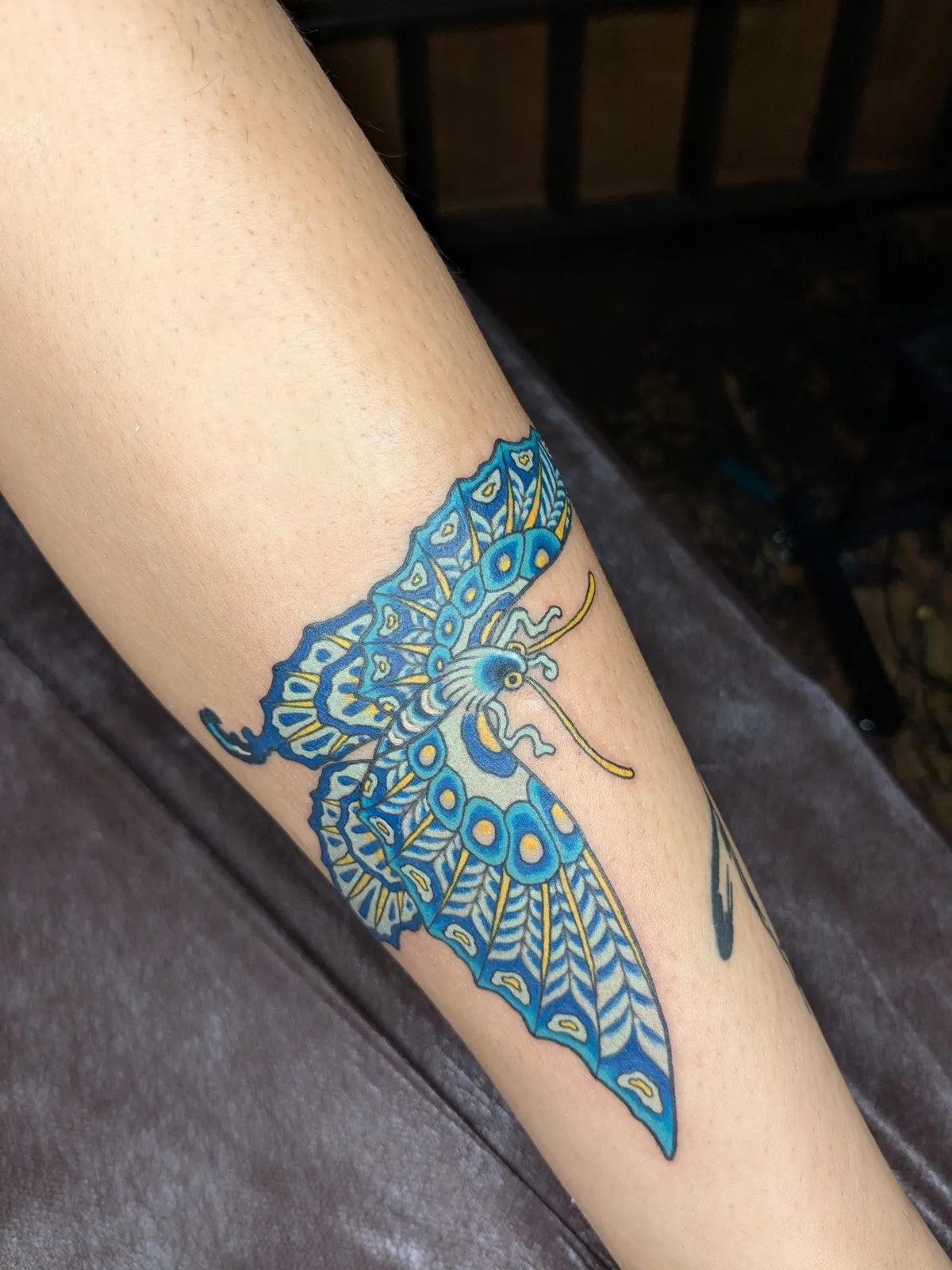 Butterfly tattoo on the forearm