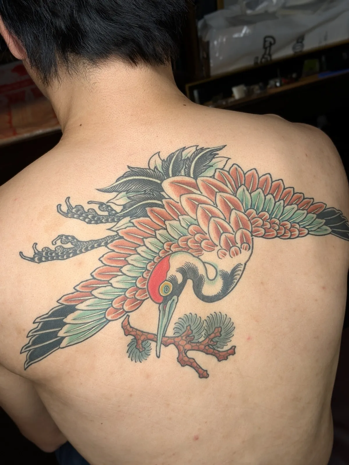 Crane and pine tattoo on the back