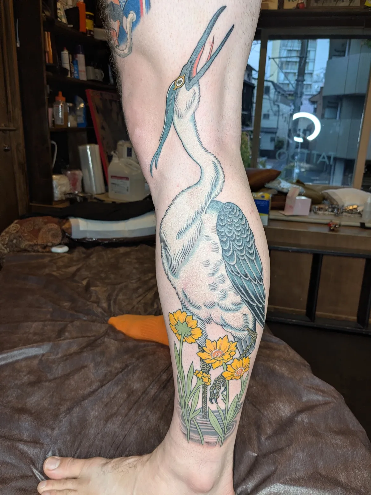 Heron and iris tattoo on the shin