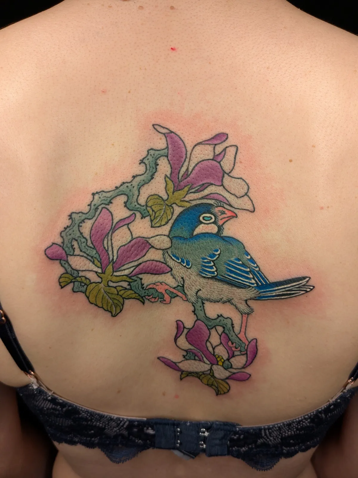 Java sparrow and magnolia tattoo on the back