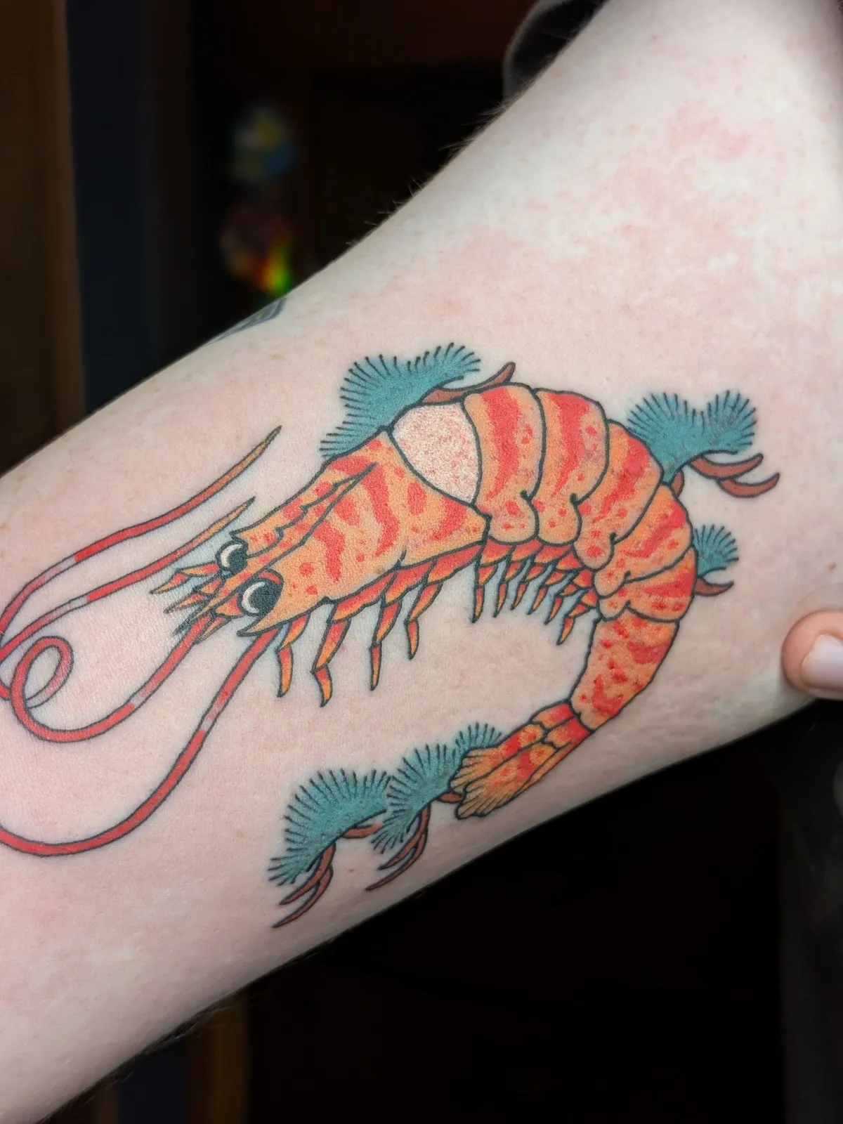 Prawn tattoo on the forearm