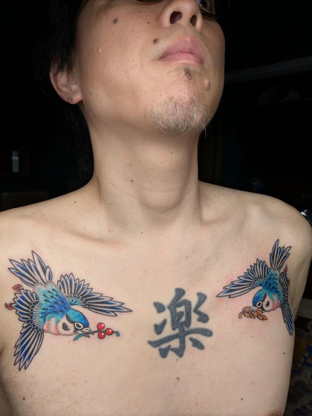 Pair of sparrows tattoo on the chest